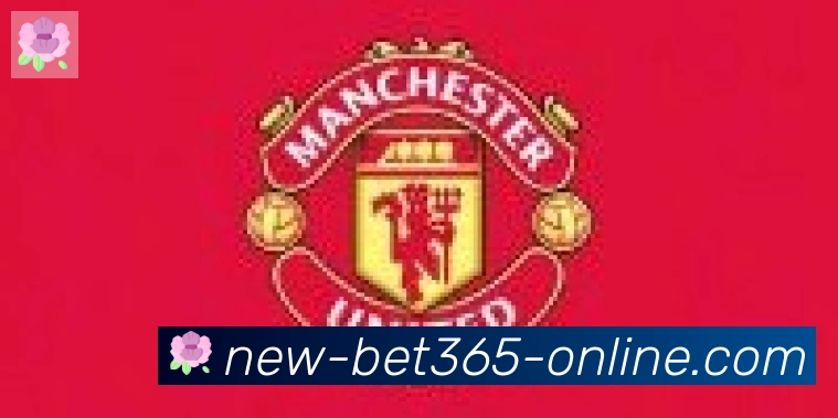 bet365在线体育合作伙伴